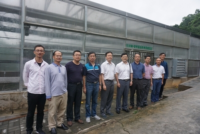 福建省茶产业重大农技推广服务试点项目接受中期考核调研