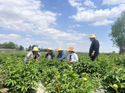 兰州市农业农村局 三抓三促 【“三抓三促”行动进行时】-市农研中心副主任谢成俊赴王家坪试验示范基地调研